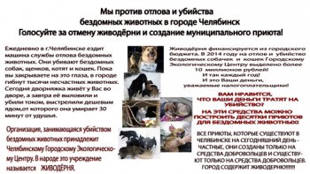 Челябинские зоозащитники просят врио губернатора Бориса Дубровского остановить убийство бездомных животных 