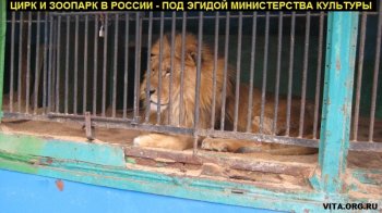 Магнитогорское отделения Центра защиты прав животных «Вита» обнаружило нарушения в деятельности зоолунапарка «Барс»
