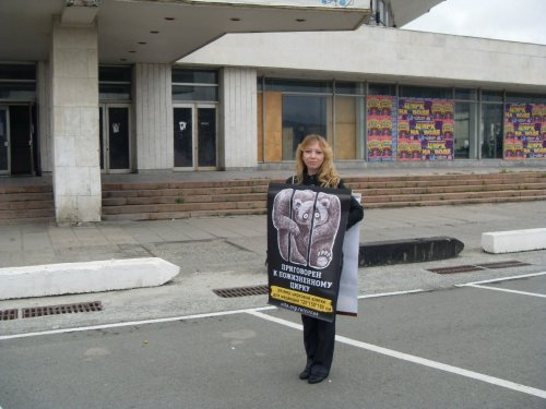 В одиночных пикетах за гуманный цирк в Челябинске приняли участие 15 активистов