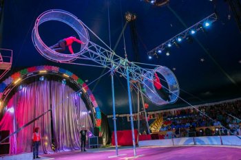 В Челябинск приехал гуманный цирк – цирк без животных