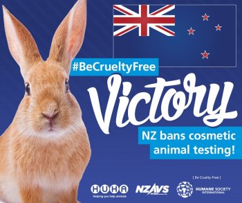 Тестирование косметики на животных запрещено в Новой Зеландии 