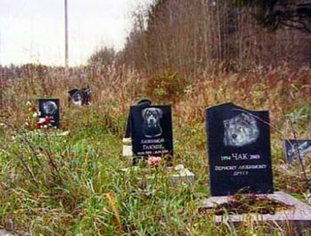 Несанкционированное кладбище домашних животных в Челябинске предписано устранить