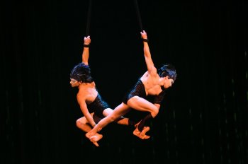     Varekai      (   (Cirque du Soleil )     2 !)